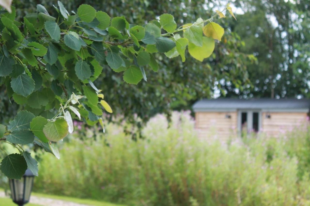 Luxury Shepherds Hut - The Sweet Pea By The Lake York Exteriör bild